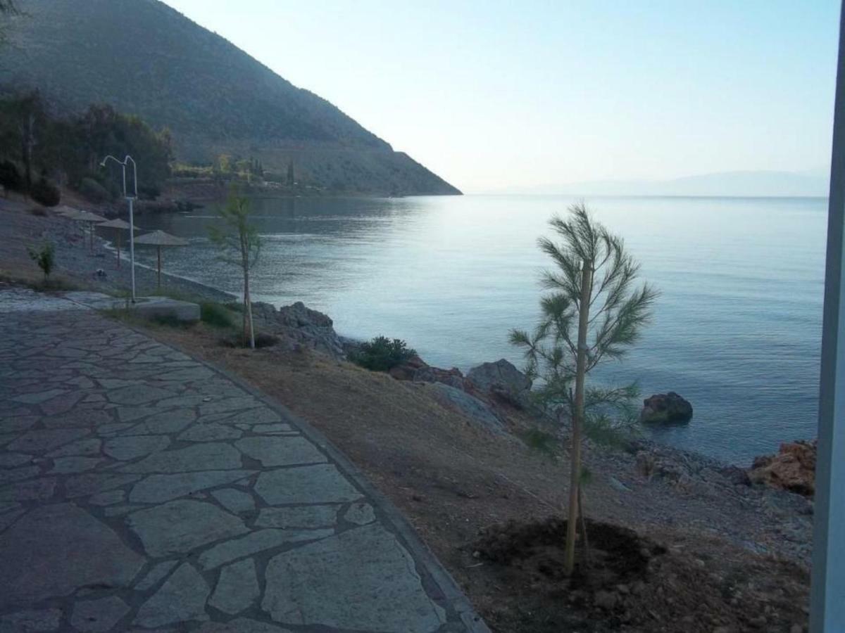 شقة Luxury Seafront House Nearby Delphi Kirra المظهر الخارجي الصورة