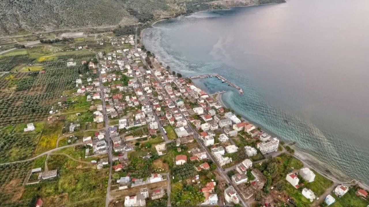 شقة Luxury Seafront House Nearby Delphi Kirra المظهر الخارجي الصورة
